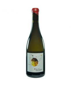 vino-sin-rumbo-2012-micro-bio-wines-sietejuntos-doowine